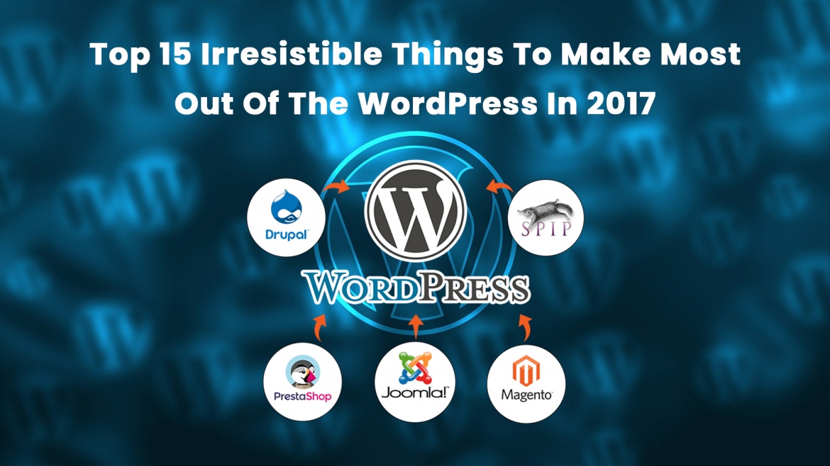 Top 15 Irresistible Things To Make Most Out Of The WordPress In 2017