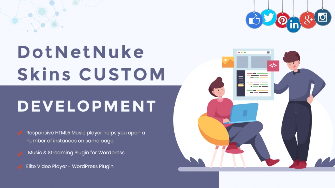 Why Go For DotNetNuke Skins Custom Development